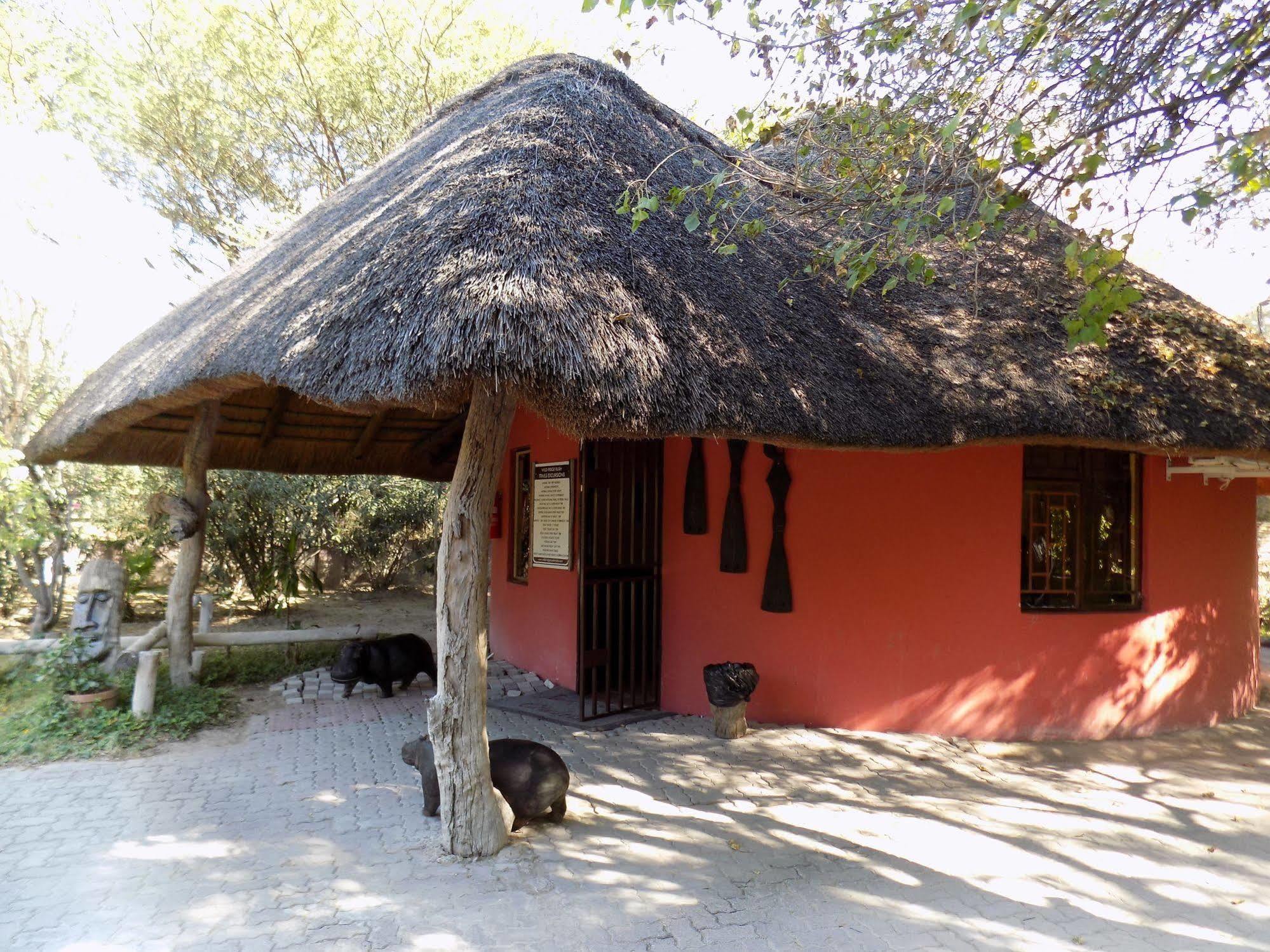 Jump Street Chalets Maun Zewnętrze zdjęcie